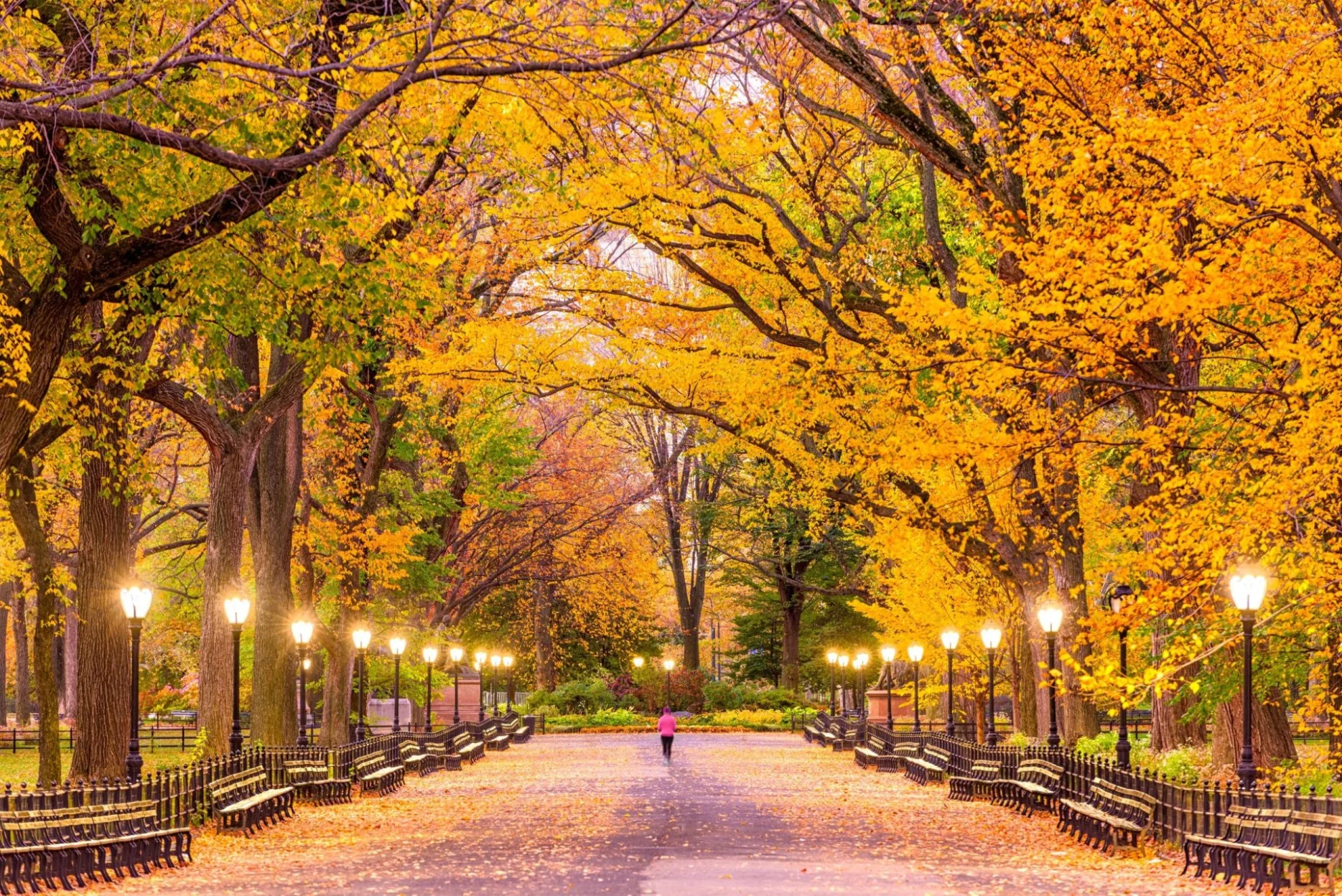 fall